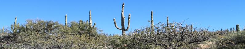 Tucson, Arizona, USA